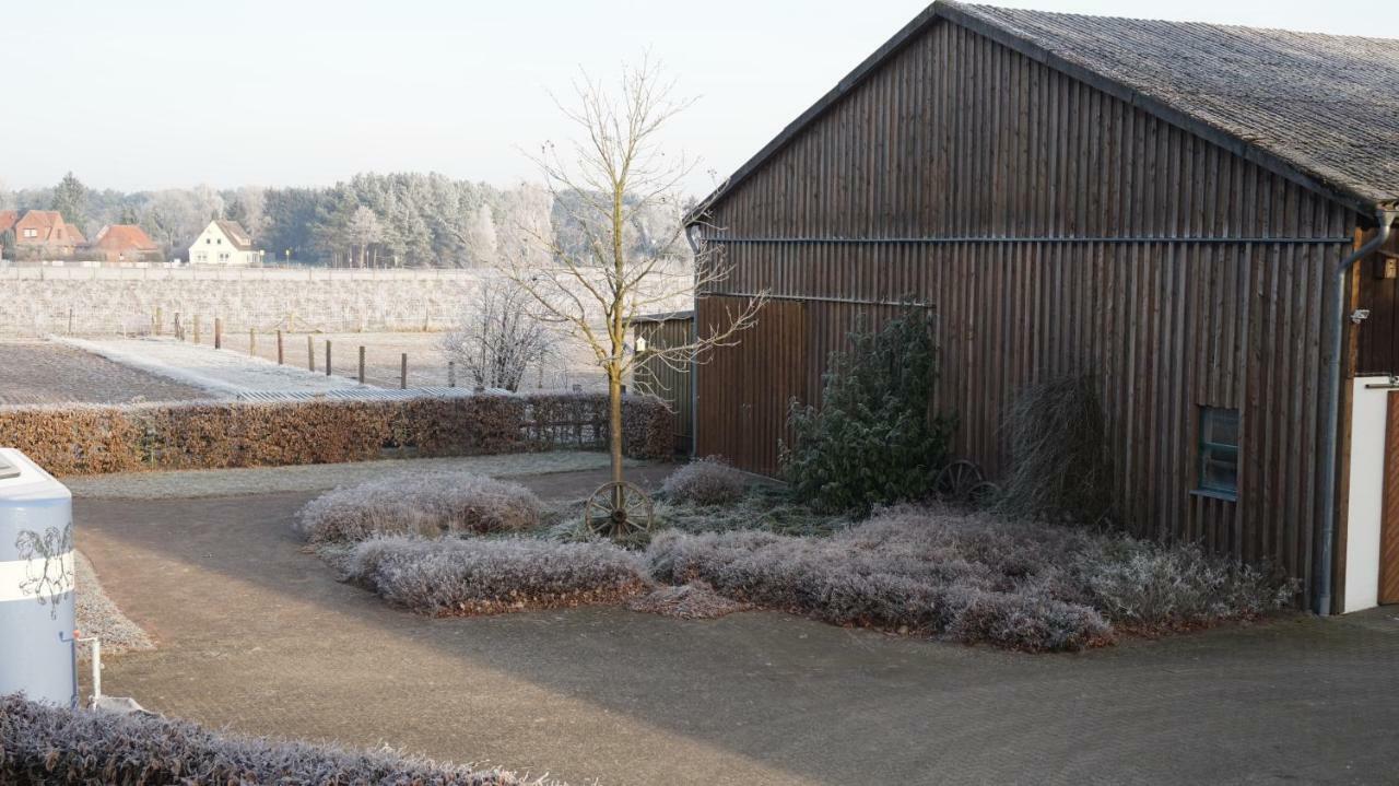 Ferienwohnung Wiesenblick Nahe Region Celle Und Hannover 부흐홀츠 알러 외부 사진